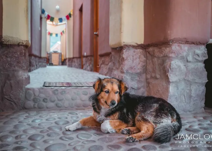 Nidra Wasi Pisac